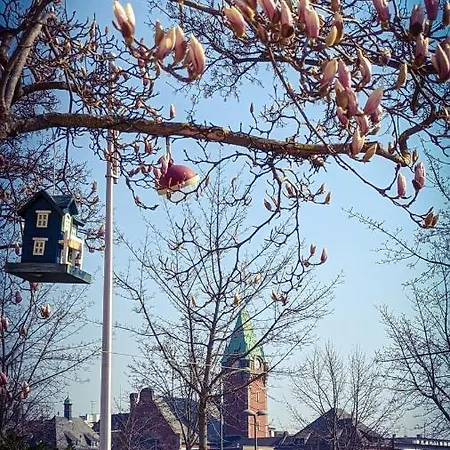 Maison 1934 - Gare & Parking Gratuit * 科尔马